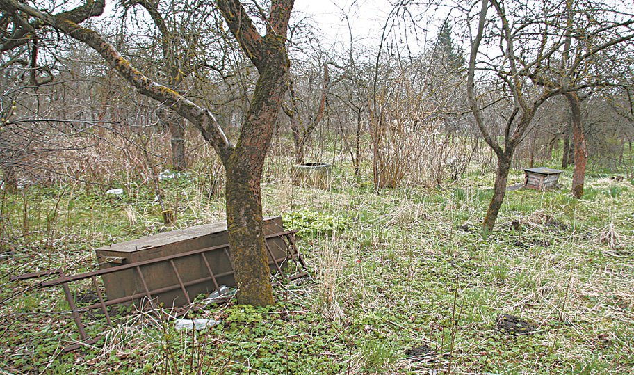 Taip atrodo Kauno gatvėje esantys sodų bendrijos „Serbenta“ sodai.  