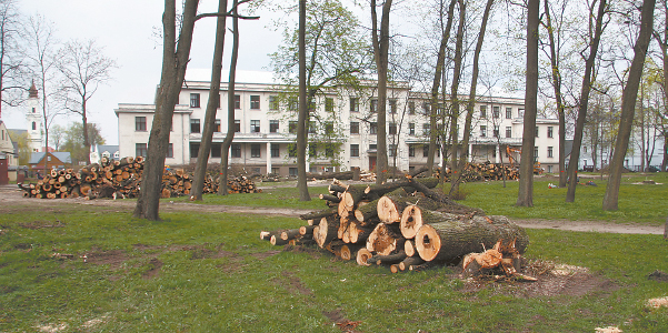 Paskutinė parko rekonstrukcija, o ypač medžių kirtimas, sukėlė daug aistrų...