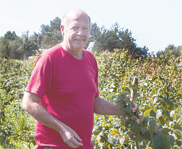 Vos prieš 6-erius metus tapęs ūkininku Raimondas Barysas atsirinko veisles, kurios neša pelną.