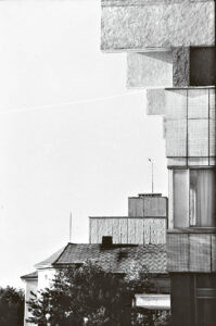 Vienas naujausių J. Prakapo darbų – „Aguonos“.