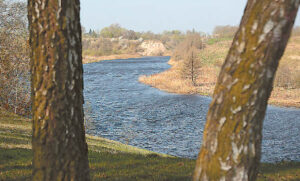 Didžiausia Suvalkijos upė Šešupė atskirose atkarpose pasižymi skirtinga ekologine būkle. Pavyzdžiui, atkarpos nuo Kalvarijos iki Liudvinavo vandens būklė vidutinė, tuo tarpu netoli Marijampolės tekančios upės vanduo yra geros būklės.