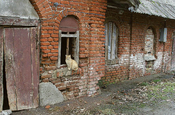 Vieną iš Paežerių dvaro sodybos ansamblio istorinių pastatų, buvusią kiaulidę, planuojama atnaujinti ir pritaikyti kavinei. Lankytojai turėtų apsidžiaugti...