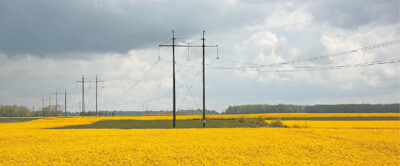 Be elektros gyventojai neliks – tuo ir toliau rūpinsis Elektros skirstymo operatorius. Ričardo PASILIAUSKO nuotraukos