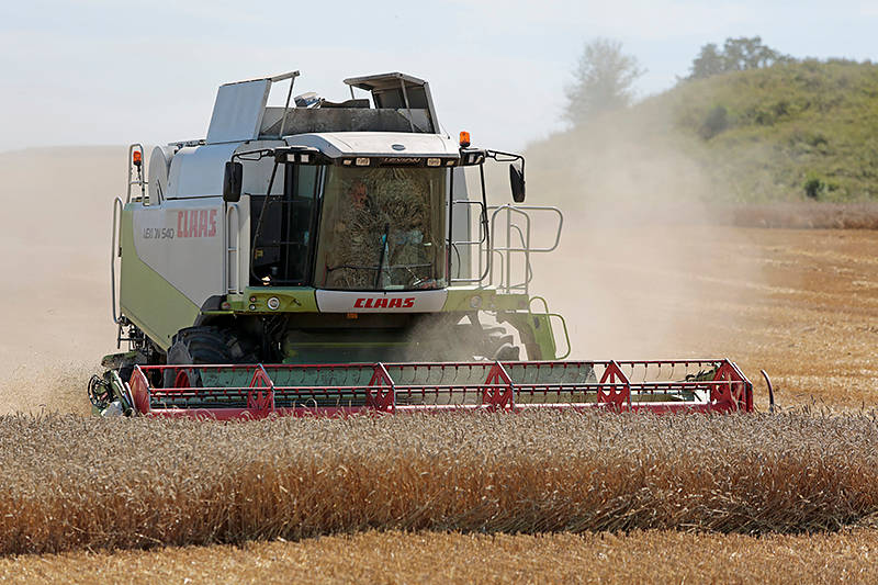 Ketvirtadienį kombainai Kūlokuose baigė kulti paskutinius 60 ha J. Bekampio žieminių kviečių.