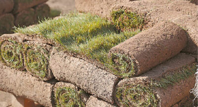 Paletėje – 50 kv. m vejos. Ričardo PASILIAUSKO nuotrauka