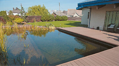 Skaidriame vandenyje dugnas atrodo visai negiliai…