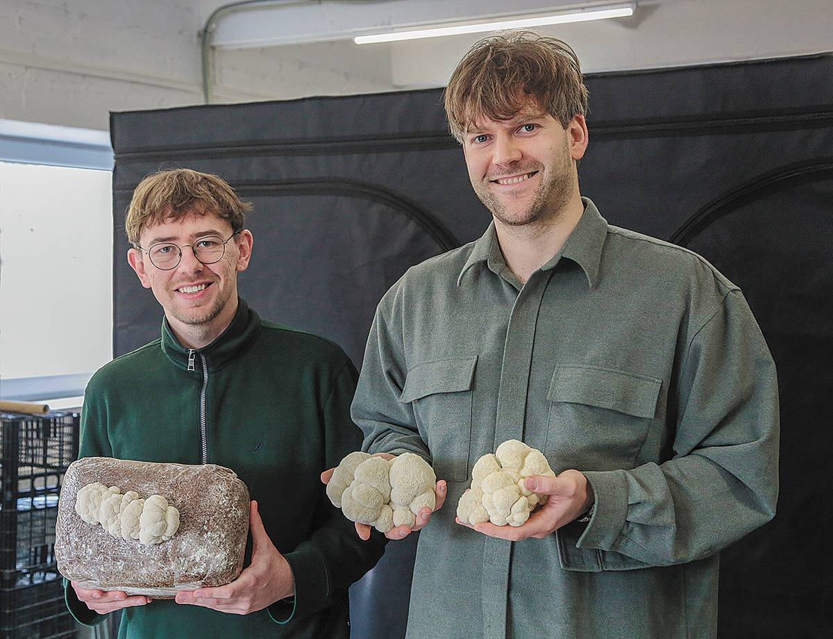 Iš kairės: Andrius Vaškevičius ir Mindaugas Rimavičius grūdų ir pjuvenų maišuose augina ypatingus grybus.