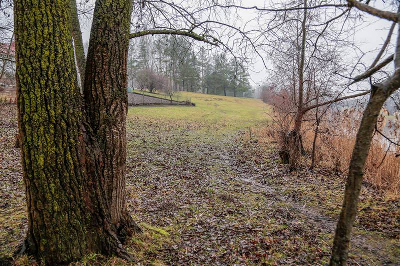 Per Ramybės parką planuojama nutiesti asfalto taką.