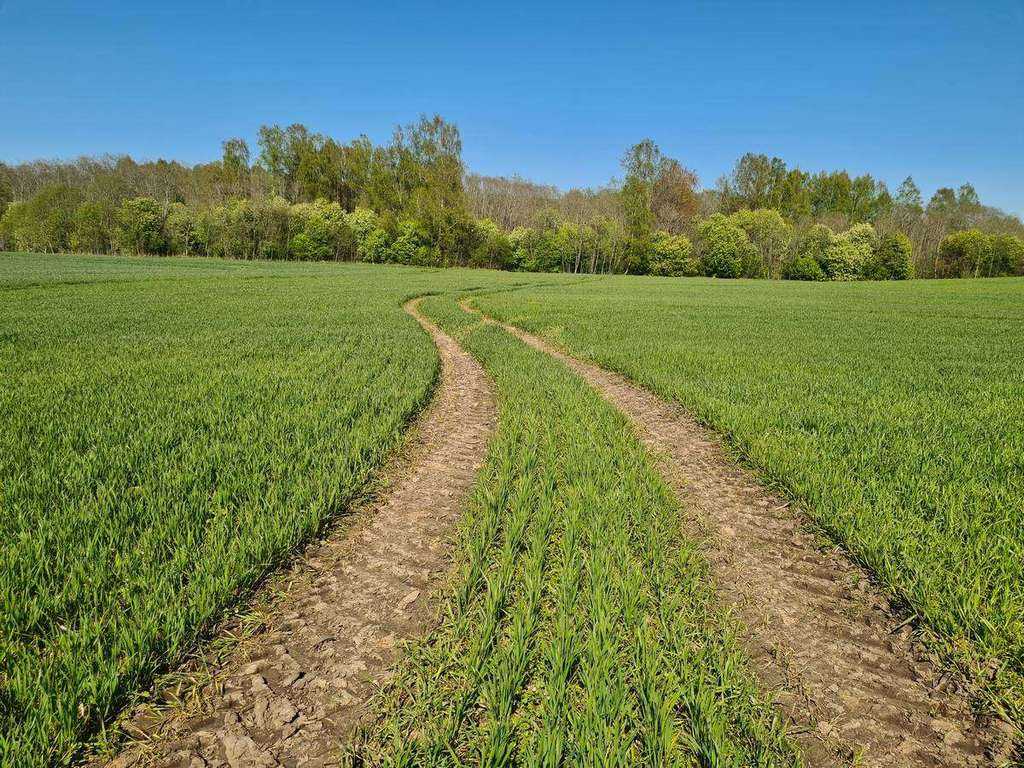 Vienas svarbiausių išmokų skyrimo tikslų – didesnis ūkininkų dėmesys aplinkosaugai.