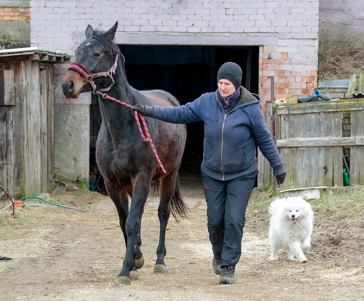  Inesa Markevičiūtė su žirgais draugauja nuo vaikystės.