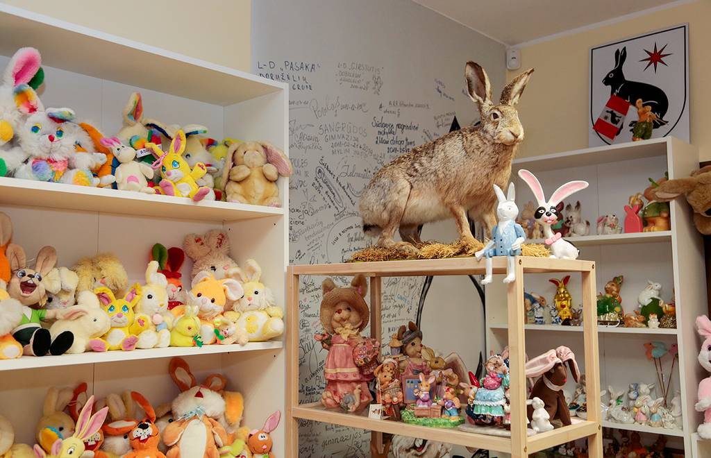 Nesuskaičiuojamas zuikučių skaičius? Sako, skaičiavo – turėtų būti daugiau kaip 6000 ilgaausių, sutūpusių į lentynas.