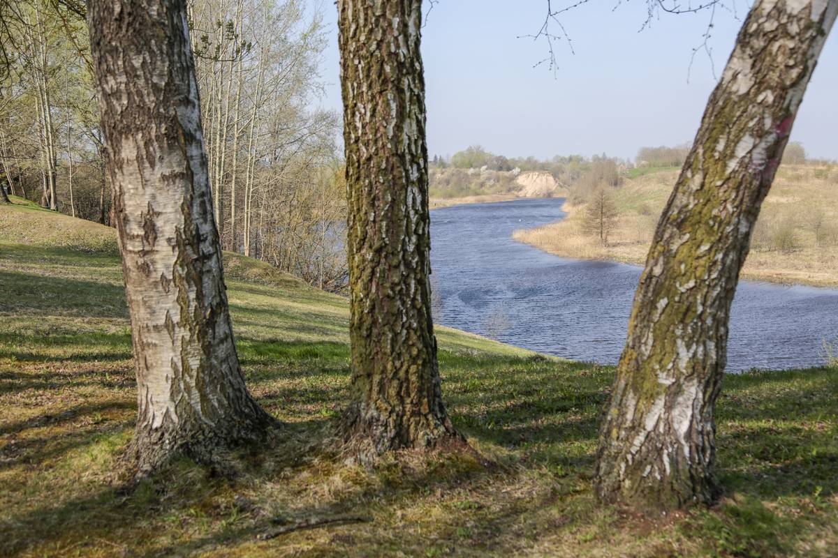 Patvirtinus Marijampolės miesto tvarios plėtros strategiją tilto per Šešupę statyba Aušros gatvėje tapo jau realiu projektu.