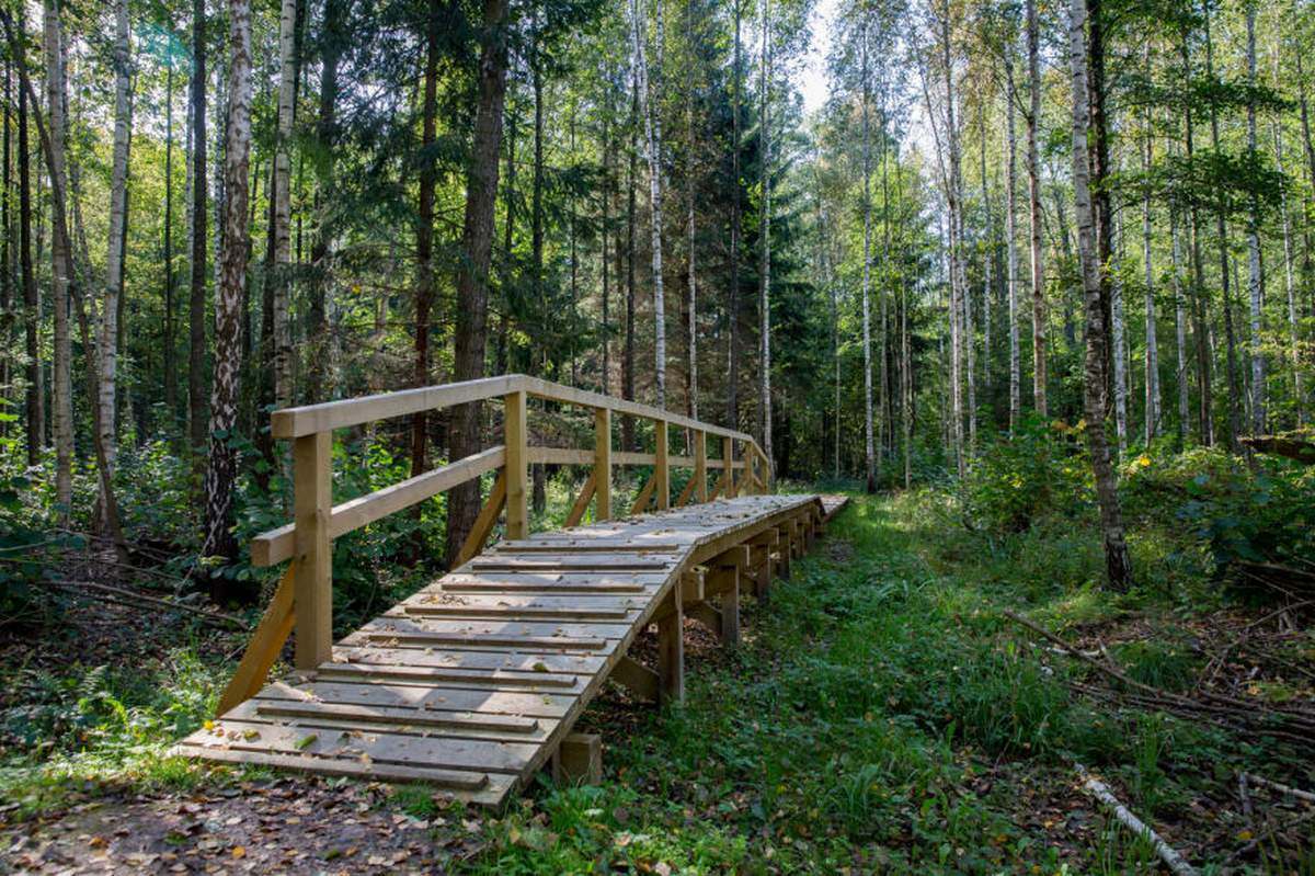 Buktos gamtinis-pažintinis takas.
