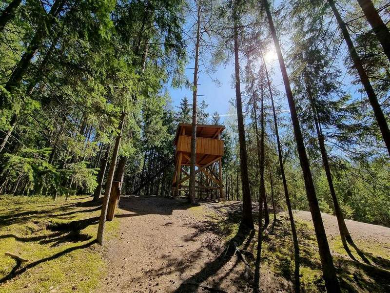 Kazlų Rūdos pažintinis miško takas.