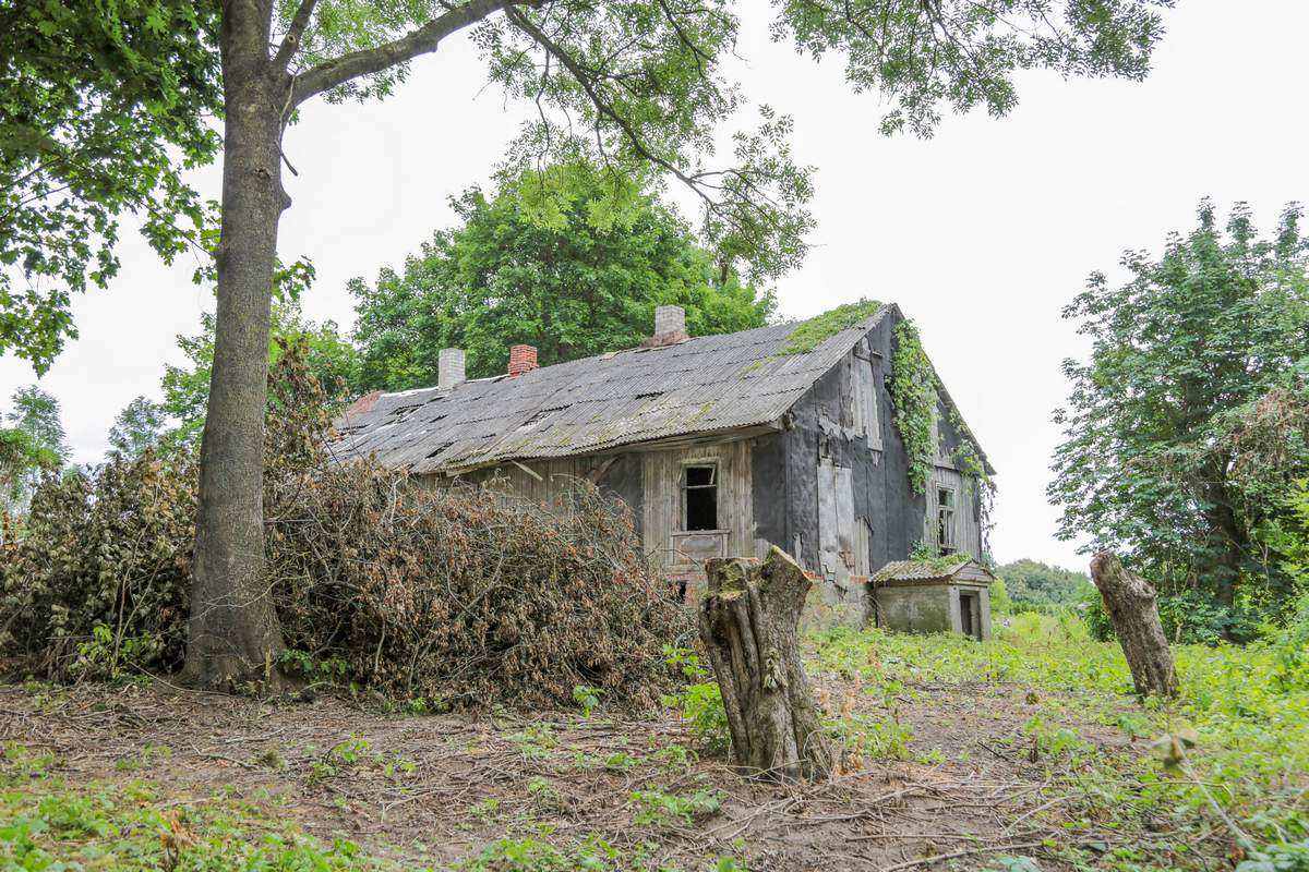 Visu grožiu atsivėrė senoji sodyba.