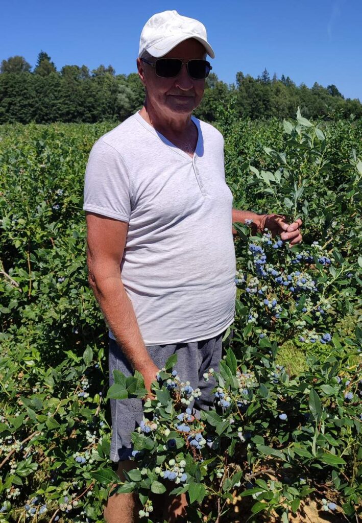 Vidas Juodsnukis gali pasigirti trijų hektarų šilauogių plantacija.  