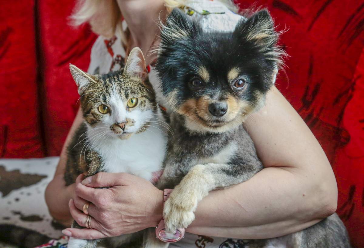 Gyvūnai, mūsų augintiniai, yra tos pačios Žemės gyventojai ir turi būti apsaugoti nuo kančių ir baimių.