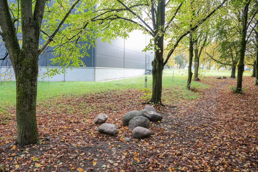 Į parką sunešti akmenys tapo puikia vieta girtuokliams sėdėti.