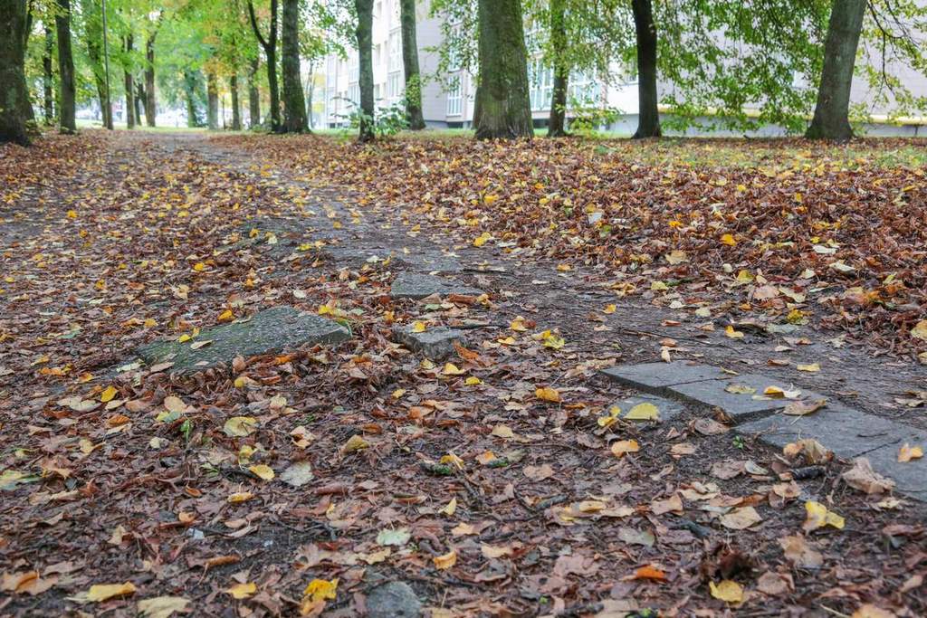 Pėsčiųjų takas ištrupėjo. 