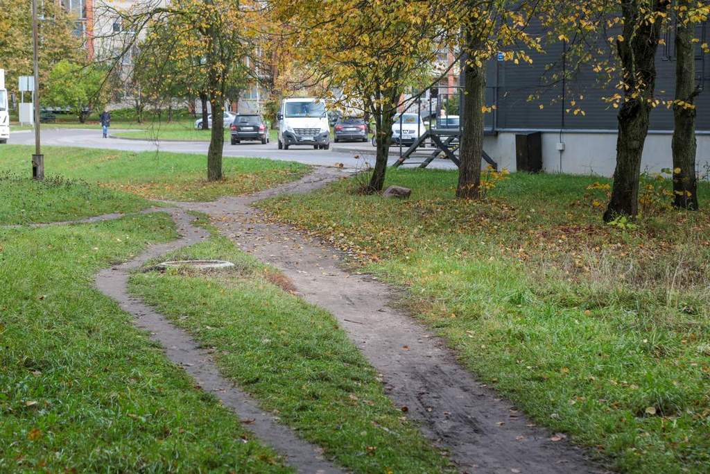 Nuo prekybos centro „Norfa“ numinti takai teritorijos nepuošia. 