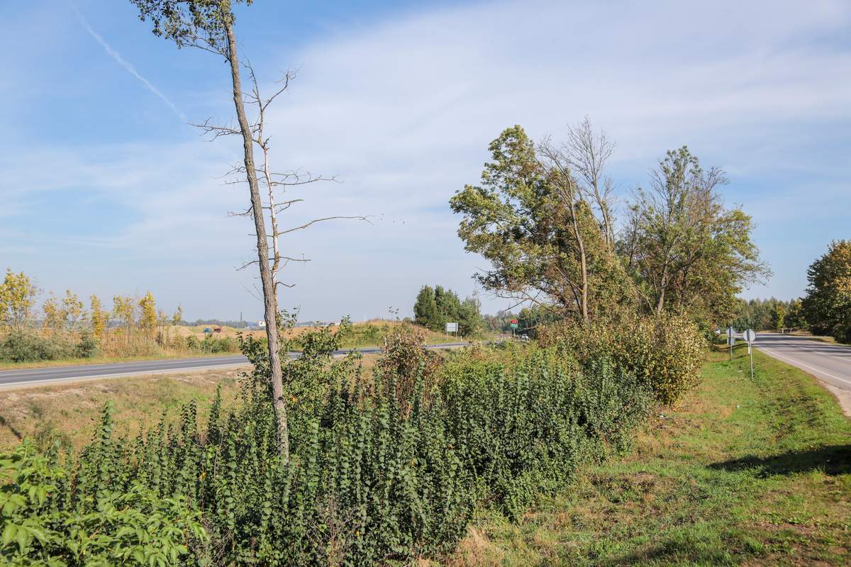Buvusios Žilinskų sodybos vieta, kur augo Mykolas Žilinskas.