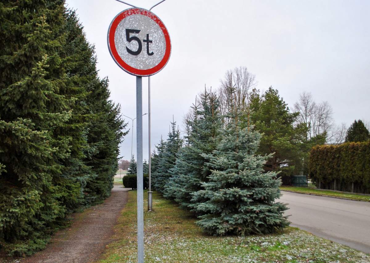 Panausupio gatvėje eglės išliks. 