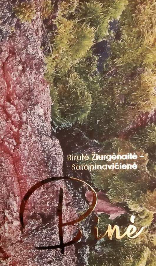 Knygos viršelis nuteikia romantiškai. 