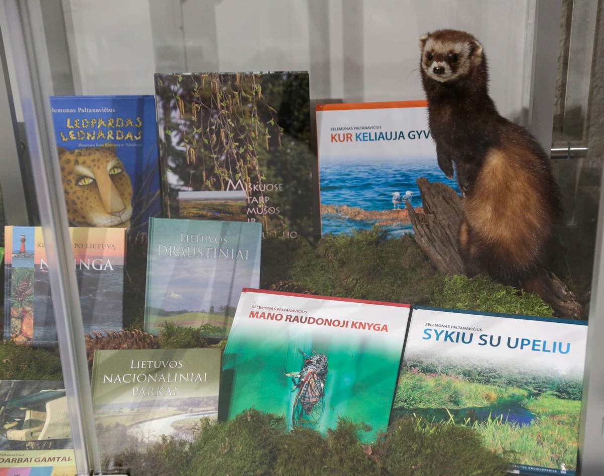 Šimtą knygų buvo nelengva įdomiai išeksponuoti.