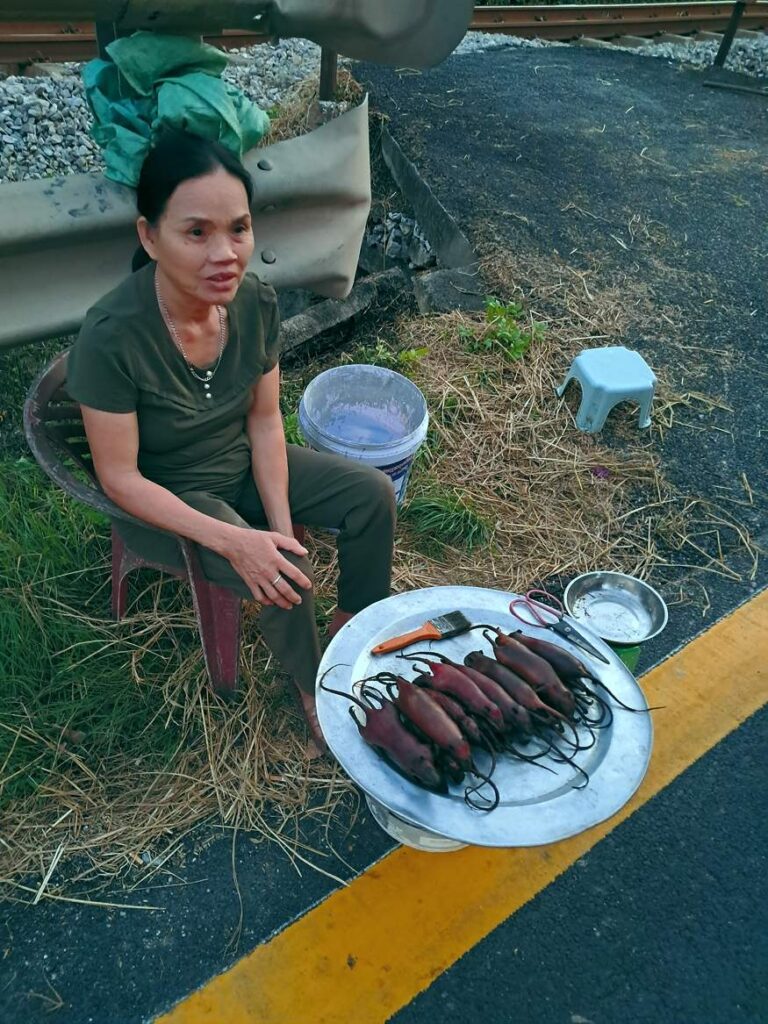 „Skanumynai“. Pakelėje parduodamos keptos žiurkės. Net keista, kad pirkėjų eilutės nėra. 