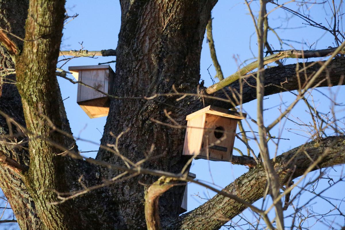 Gerai, kai laukia namai…