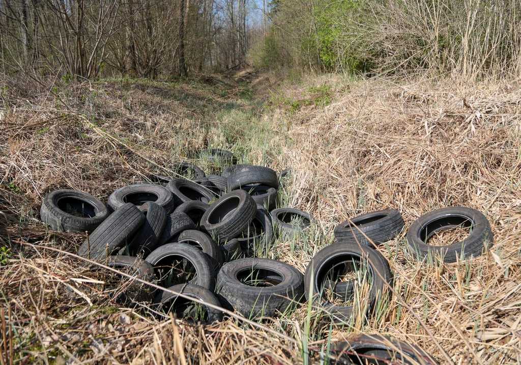 Kai kurie padangas atveža ne į DGASA, bet į mišką. Kiti jas turi surinkti ir išvežti utilizuoti. Gal būtų galima kaip nors be „tarpinio“ – miško – varianto? Mmm?