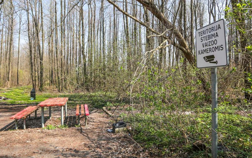 Mes vaizdo kameros nepastebėjome. Bet gal vaizdo kamera pastebėjo, kad atvežė šitiek padangų į mišką? 
