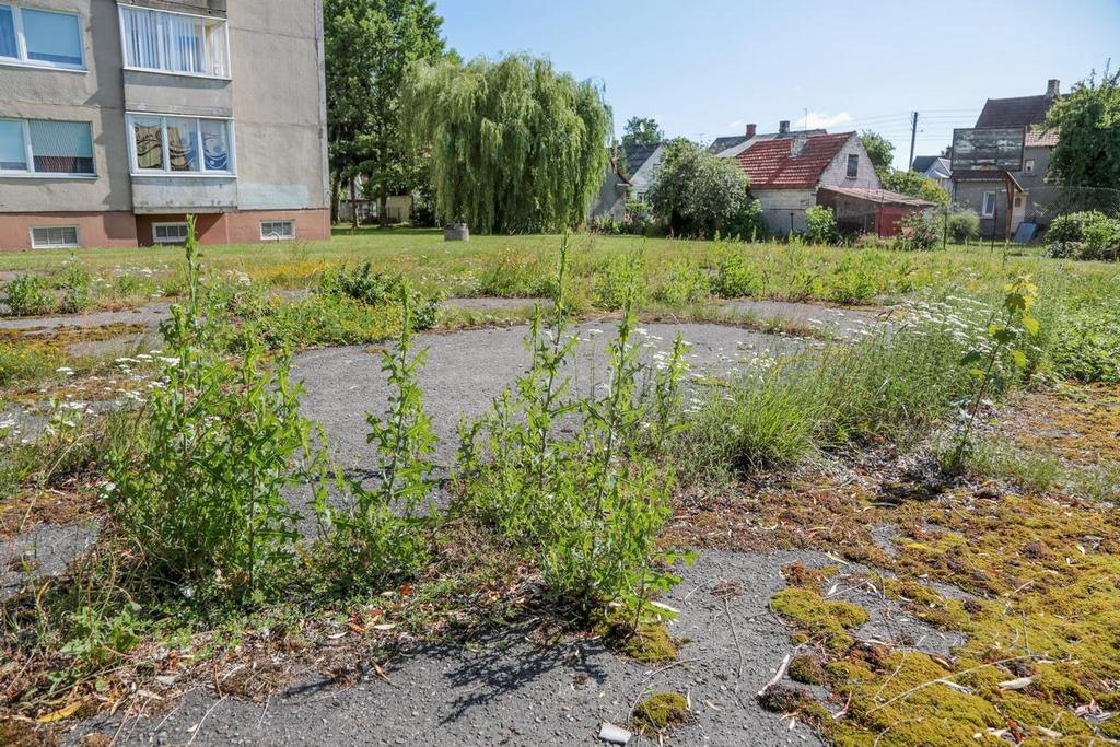 Aikštelė prie daugiabučio Šaulių gatvėje šiandien jau atrodo kitaip, žolė nupjauta.