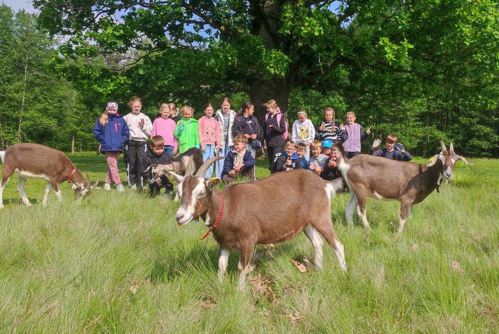Žygyje „Bagota ciba“ su ožkomis miške – vaikai įveikė net 5 km trasą. 