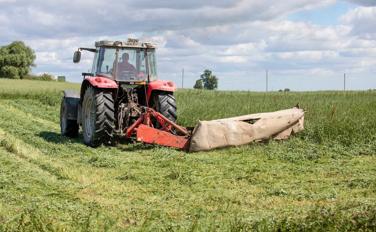 Pievų šienavimo metu žolėje pasislėpę gyvūnai žūsta. 