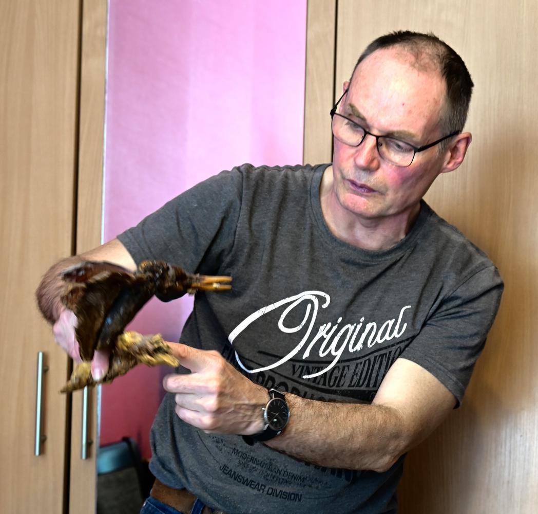 Algimanto Skinkio rankose – vienas iš šimtų radinių: apie kiekvieną galėtų pasakoti valandas – kaip rado, kiek prie gamtos kūrybos prisilietė.