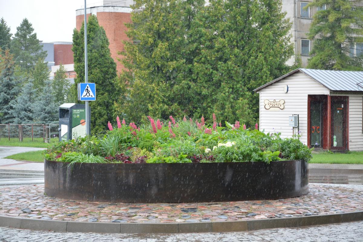 R. Juknevičiaus gatvėje žiedo klomba apjuosta sendinto metalo apvadu.
