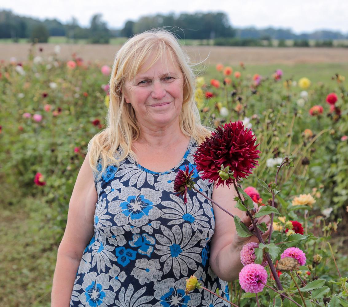 „O čia – viena rafinuočiausių veislių ‘Kenora Macop’“, – supažindina selekcininkė Danutė Simonaitienė.