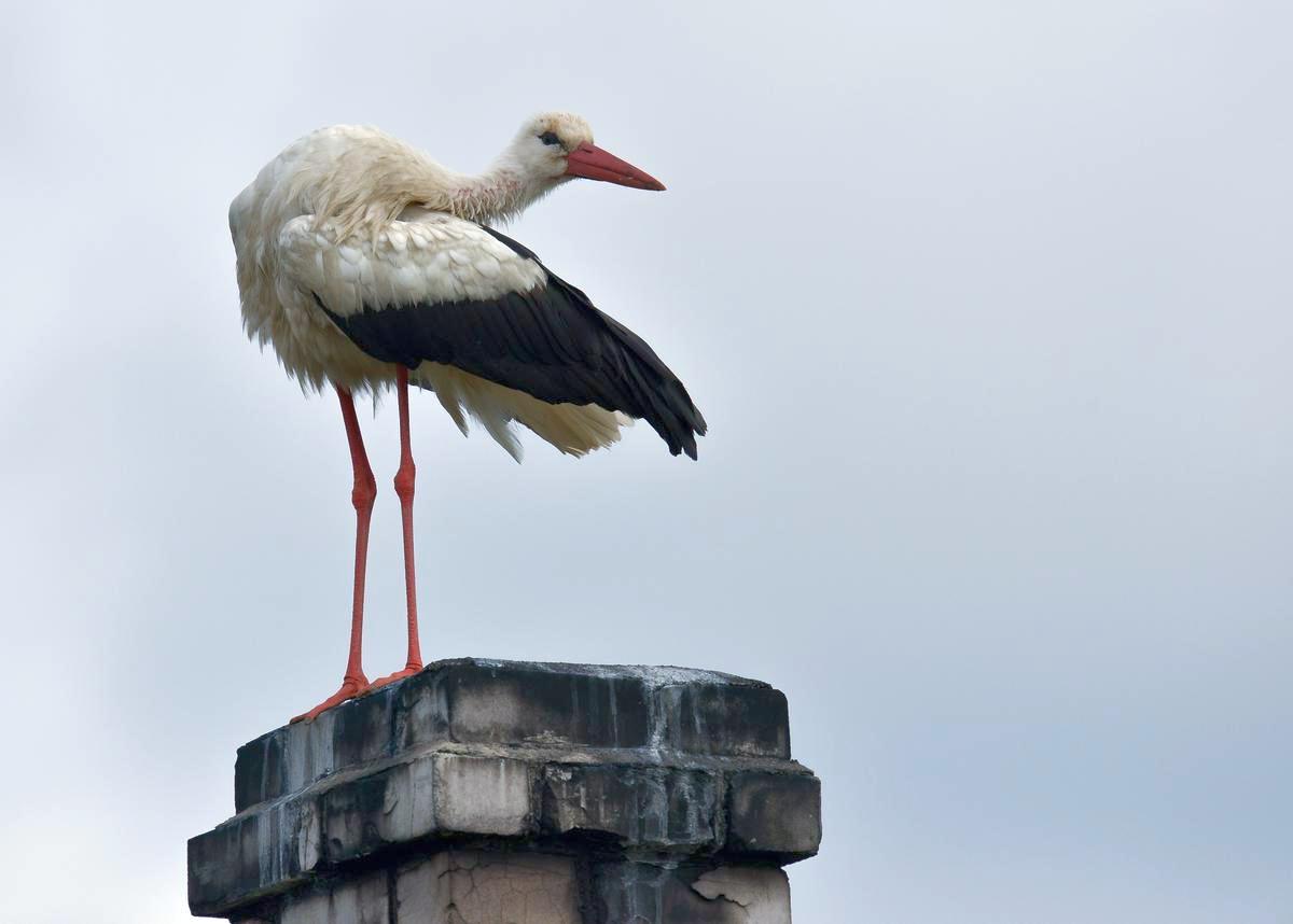 Tokia vieta ilsėtis labai pavojinga.