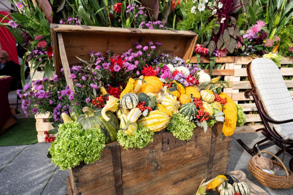 Šeštadienį Marijampolės centre rudens gėrybės virto lyg iš gausybės rago.