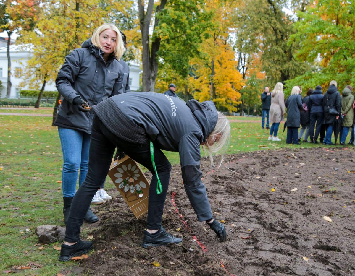Narcizus miestui dovanoja mažieji talkininkai ir kiti miestelėnai.