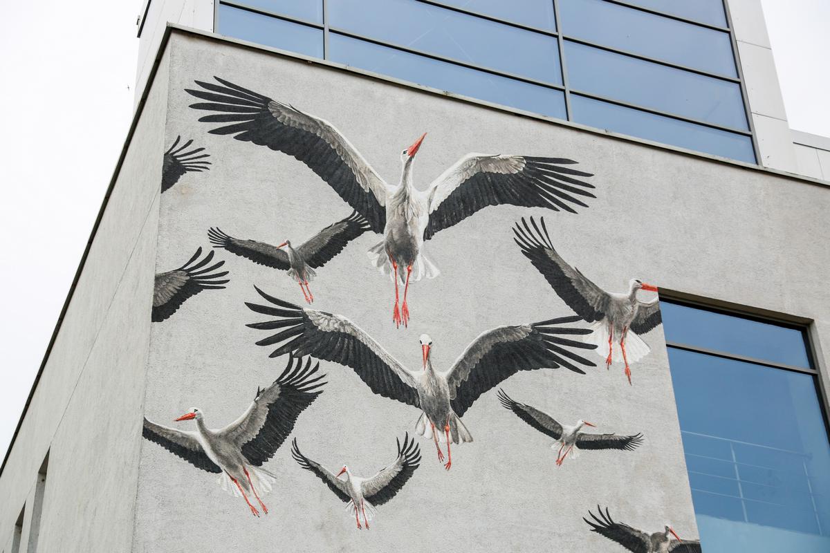 Šiemet meno mylėtojus vėl džiugins „Malonny“ projektas.